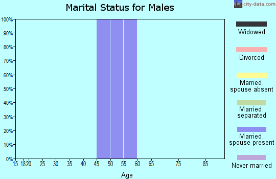 Zip code 07970 marital status for males