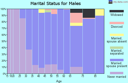 Zip code 07974 marital status for males