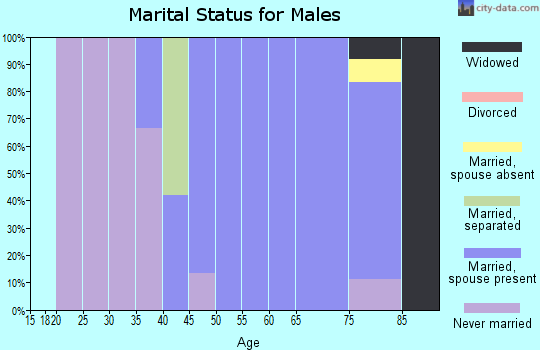 Zip code 07977 marital status for males