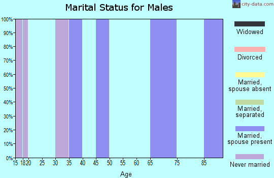 Zip code 07979 marital status for males