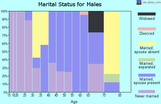 Zip code 07980 marital status for males