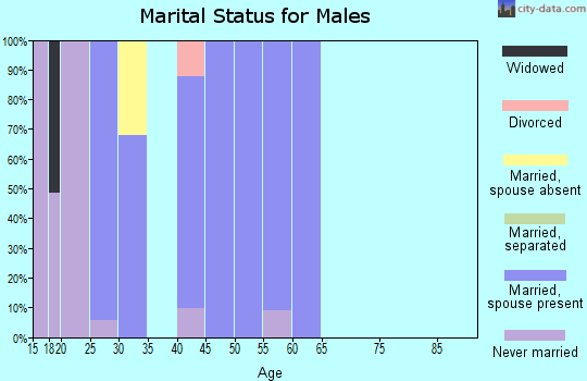 Zip code 08001 marital status for males