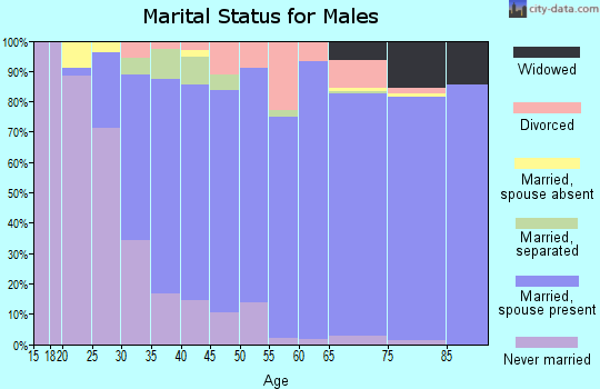 Zip code 08005 marital status for males