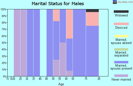 Zip code 08006 marital status for males