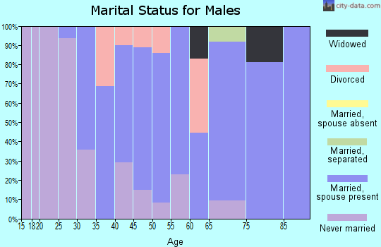 Zip code 08007 marital status for males