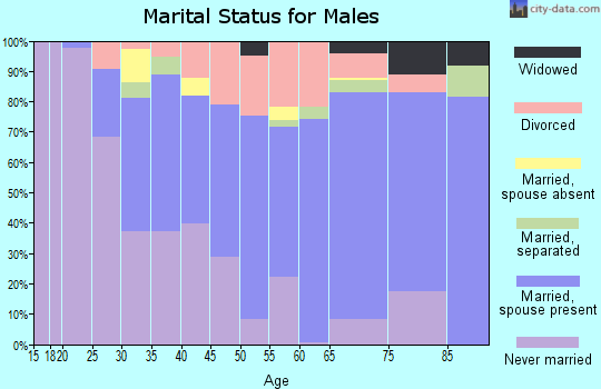Zip code 08010 marital status for males