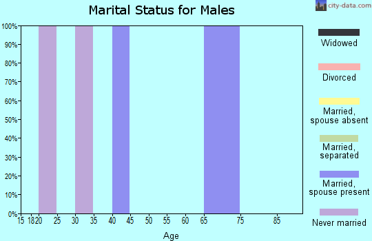 Zip code 08011 marital status for males