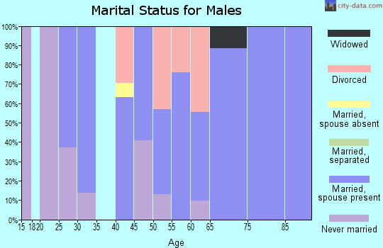 Zip code 08020 marital status for males