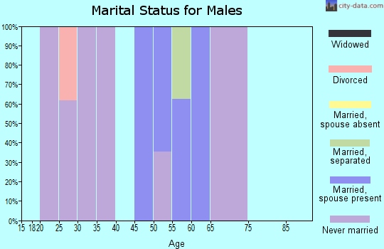 Zip code 08023 marital status for males