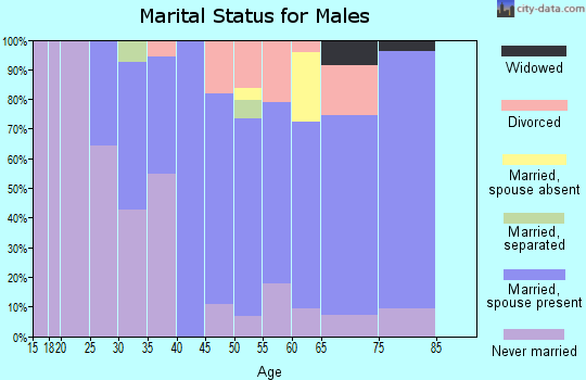 Zip code 08026 marital status for males
