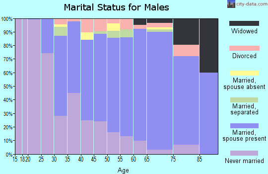 Zip code 08028 marital status for males
