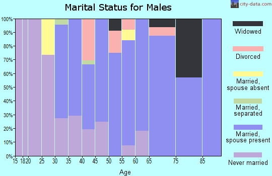 Zip code 08029 marital status for males