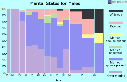 Zip code 08030 marital status for males