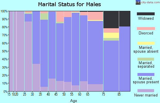 Zip code 08033 marital status for males