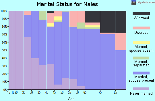 Zip code 08035 marital status for males