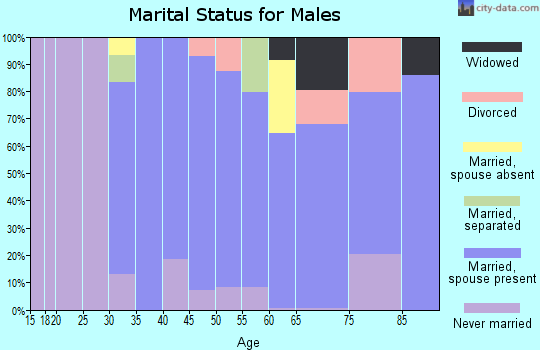 Zip code 08036 marital status for males