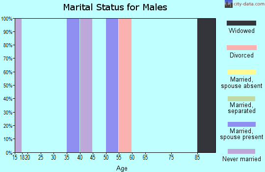 Zip code 08038 marital status for males