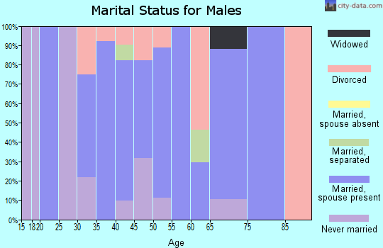 Zip code 08041 marital status for males
