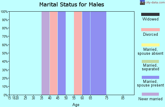 Zip code 08042 marital status for males