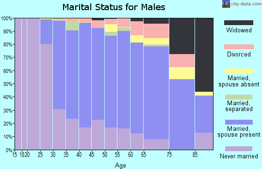 Zip code 08043 marital status for males