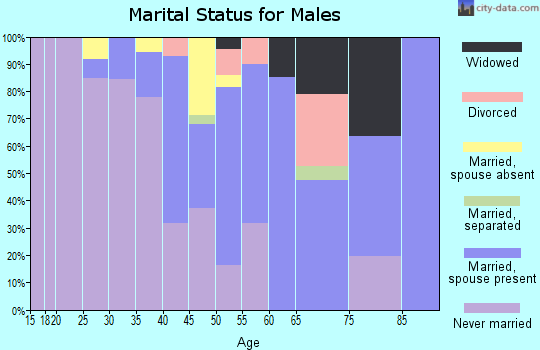 Zip code 08045 marital status for males