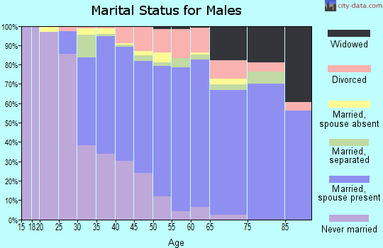 Zip code 08046 marital status for males