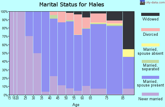 Zip code 08050 marital status for males