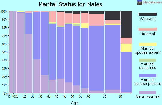 Zip code 08054 marital status for males