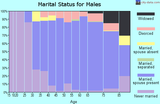 Zip code 08055 marital status for males