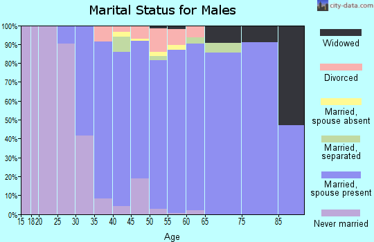 Zip code 08062 marital status for males