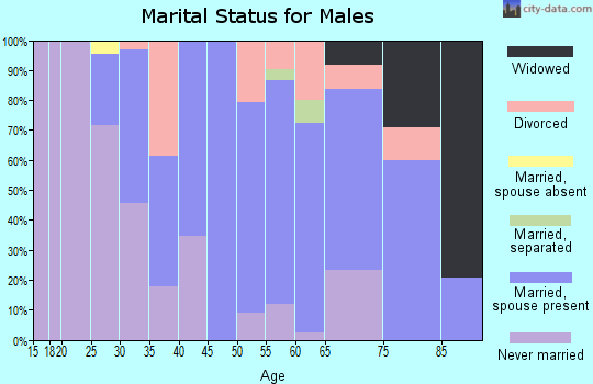 Zip code 08063 marital status for males