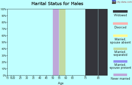 Zip code 08064 marital status for males