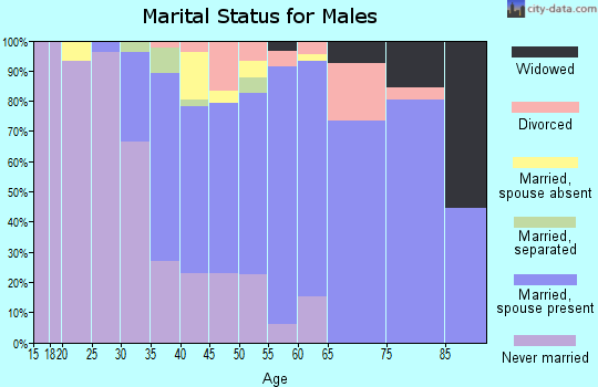 Zip code 08065 marital status for males