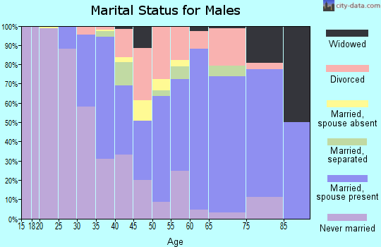 Zip code 08068 marital status for males