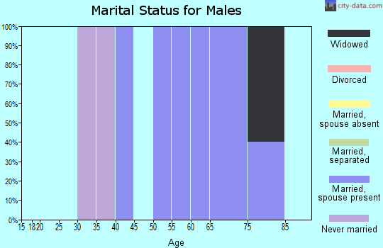Zip code 08072 marital status for males