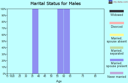 Zip code 08073 marital status for males