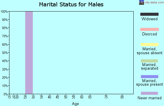 Zip code 08074 marital status for males