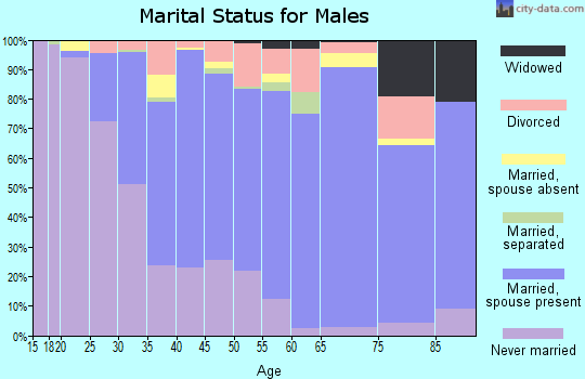 Zip code 08075 marital status for males