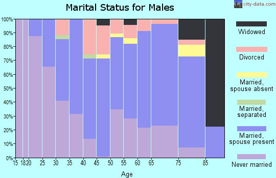 Zip code 08078 marital status for males