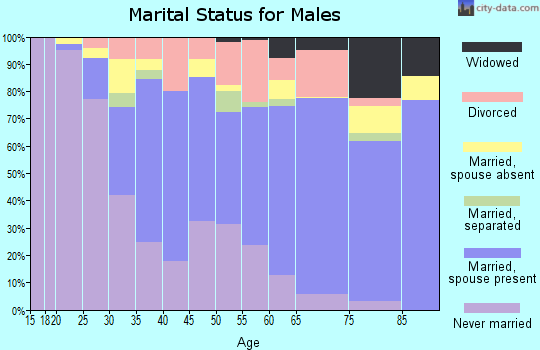 Zip code 08079 marital status for males