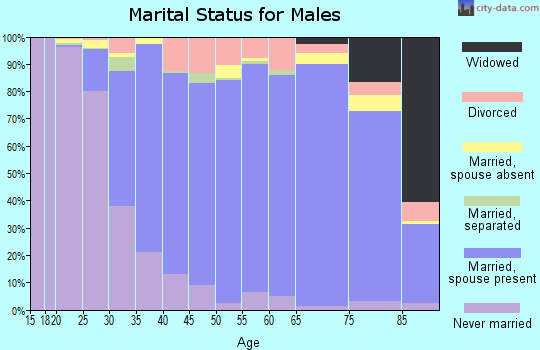 Zip code 08080 marital status for males