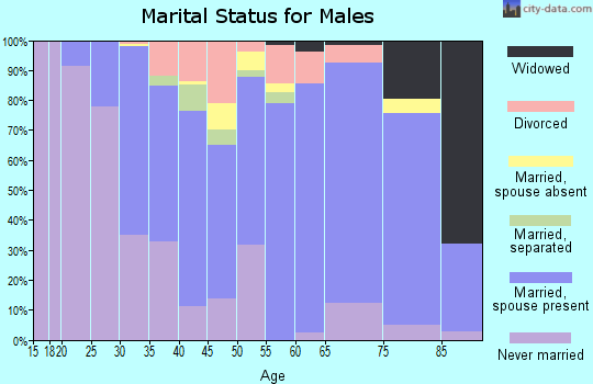 Zip code 08083 marital status for males