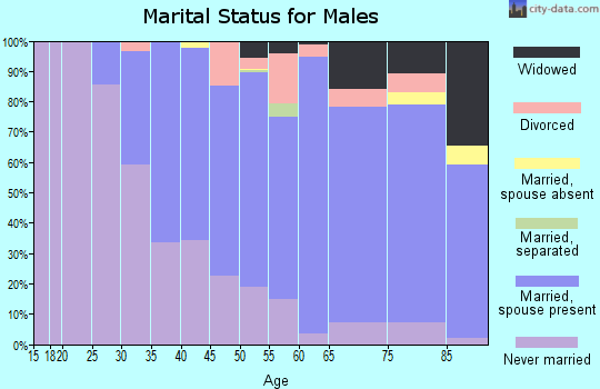 Zip code 08084 marital status for males