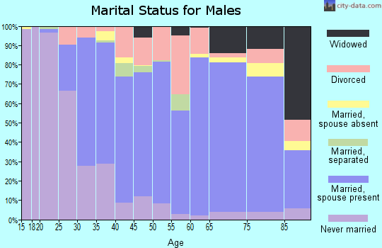 Zip code 08087 marital status for males