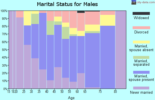 Zip code 08089 marital status for males