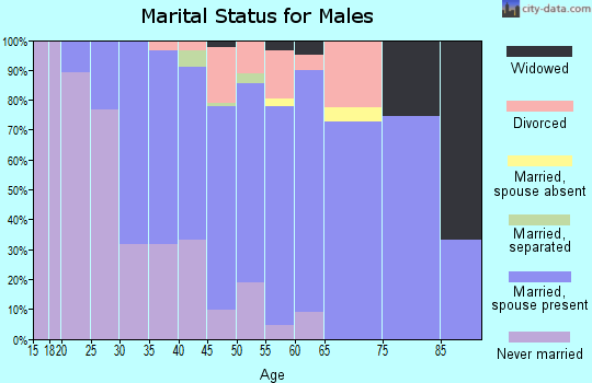 Zip code 08090 marital status for males