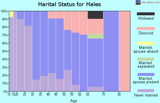 Zip code 08091 marital status for males