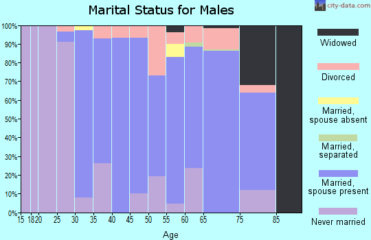 Zip code 08092 marital status for males