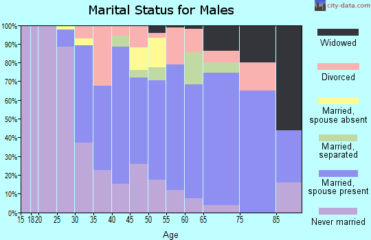Zip code 08093 marital status for males
