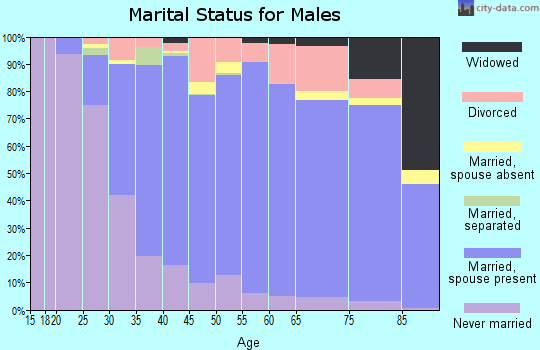 Zip code 08094 marital status for males